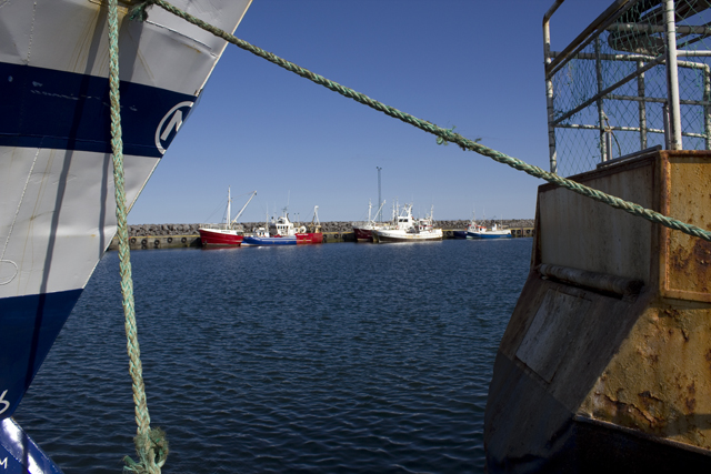 2011-07-09_10-49-15 island.jpg - Iim Hafen von Sandgerdi, westlichster Ort der Halbinsel Reykjanes